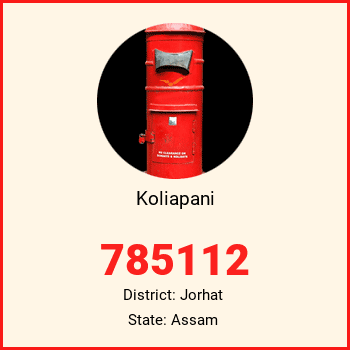 Koliapani pin code, district Jorhat in Assam