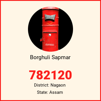 Borghuli Sapmar pin code, district Nagaon in Assam