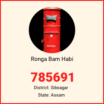 Ronga Bam Habi pin code, district Sibsagar in Assam