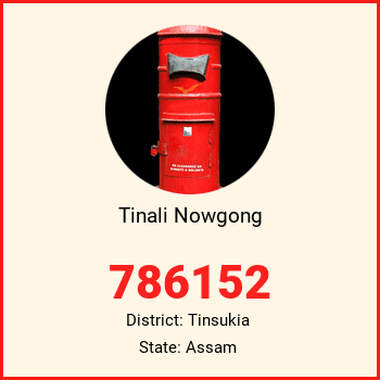 Tinali Nowgong pin code, district Tinsukia in Assam