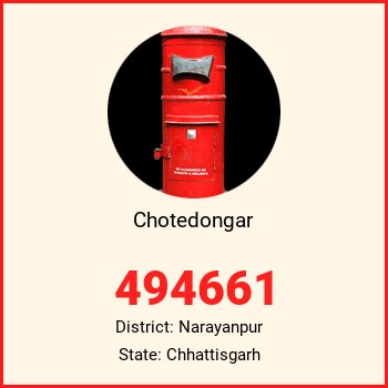 Chotedongar pin code, district Narayanpur in Chhattisgarh