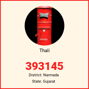 Thali pin code, district Narmada in Gujarat