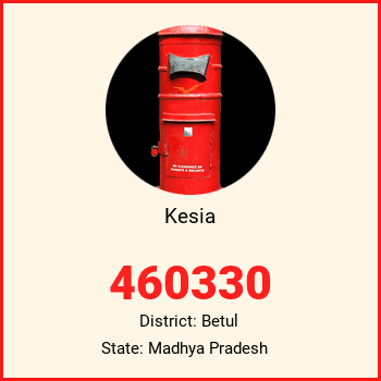 Kesia pin code, district Betul in Madhya Pradesh