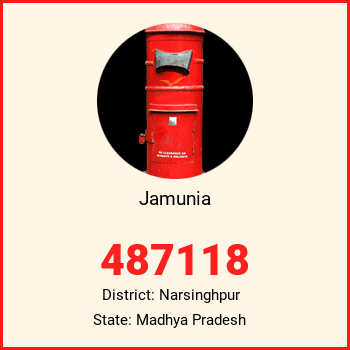 Jamunia pin code, district Narsinghpur in Madhya Pradesh