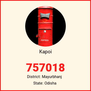 Kapoi pin code, district Mayurbhanj in Odisha
