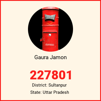 Gaura Jamon pin code, district Sultanpur in Uttar Pradesh