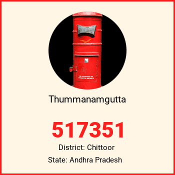 Thummanamgutta pin code, district Chittoor in Andhra Pradesh