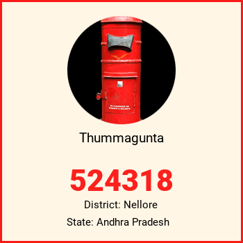 Thummagunta pin code, district Nellore in Andhra Pradesh