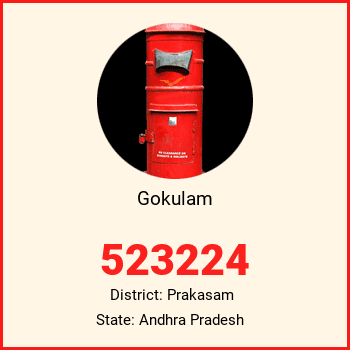 Gokulam pin code, district Prakasam in Andhra Pradesh