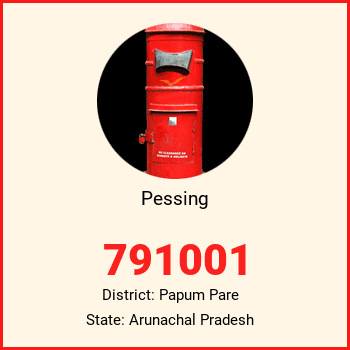 Pessing pin code, district Papum Pare in Arunachal Pradesh