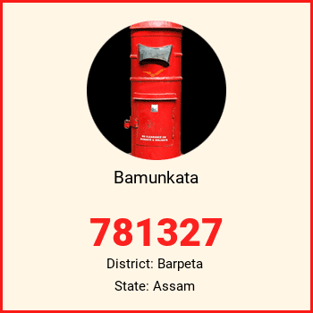 Bamunkata pin code, district Barpeta in Assam