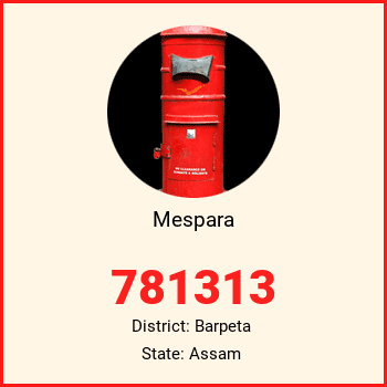 Mespara pin code, district Barpeta in Assam