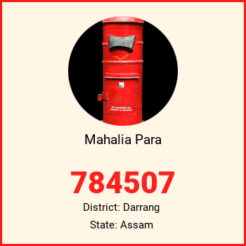 Mahalia Para pin code, district Darrang in Assam