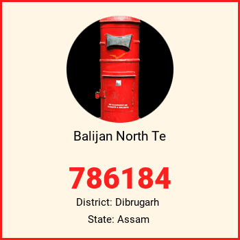 Balijan North Te pin code, district Dibrugarh in Assam