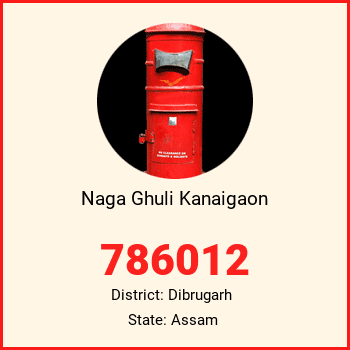 Naga Ghuli Kanaigaon pin code, district Dibrugarh in Assam