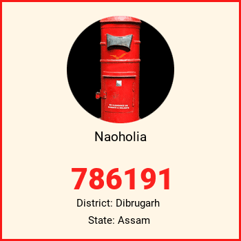 Naoholia pin code, district Dibrugarh in Assam