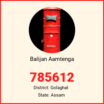 Balijan Aamtenga pin code, district Golaghat in Assam