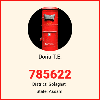 Doria T.E. pin code, district Golaghat in Assam