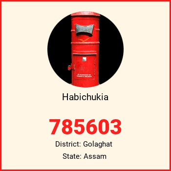 Habichukia pin code, district Golaghat in Assam