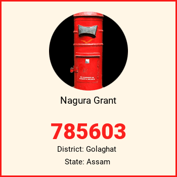 Nagura Grant pin code, district Golaghat in Assam