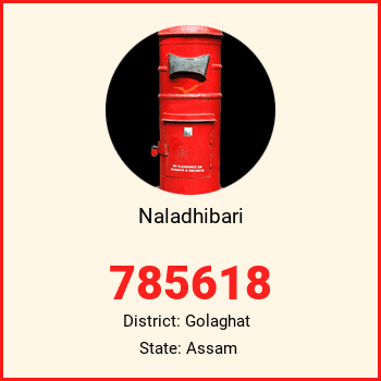 Naladhibari pin code, district Golaghat in Assam