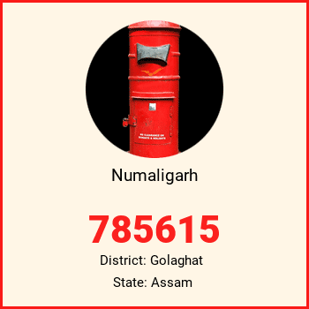 Numaligarh pin code, district Golaghat in Assam