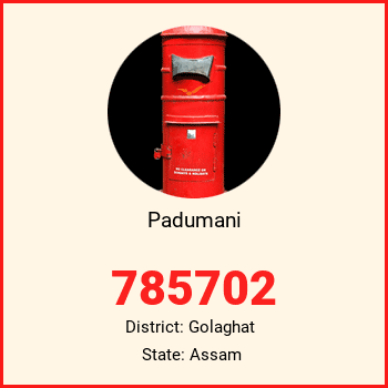 Padumani pin code, district Golaghat in Assam