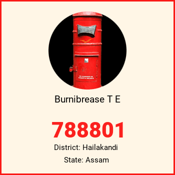 Burnibrease T E pin code, district Hailakandi in Assam