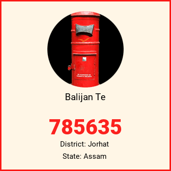 Balijan Te pin code, district Jorhat in Assam