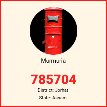 Murmuria pin code, district Jorhat in Assam