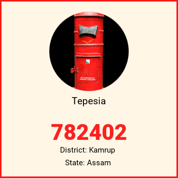 Tepesia pin code, district Kamrup in Assam