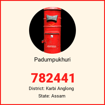 Padumpukhuri pin code, district Karbi Anglong in Assam