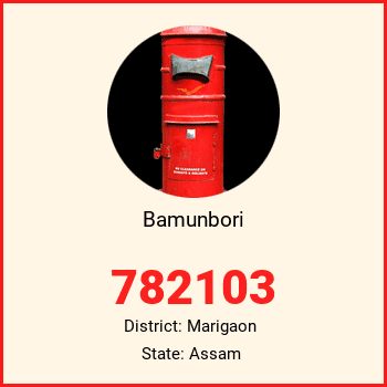 Bamunbori pin code, district Marigaon in Assam
