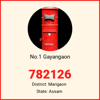 No.1 Gayangaon pin code, district Marigaon in Assam