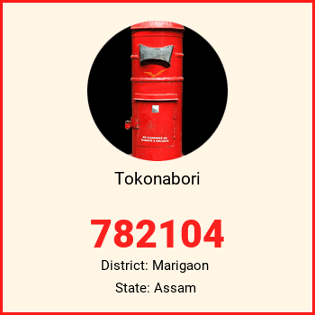Tokonabori pin code, district Marigaon in Assam