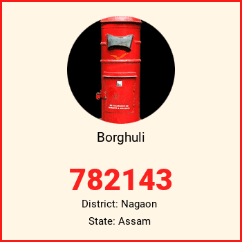 Borghuli pin code, district Nagaon in Assam