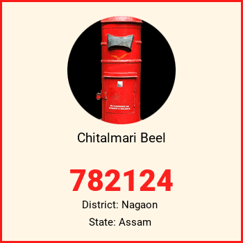 Chitalmari Beel pin code, district Nagaon in Assam