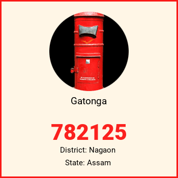 Gatonga pin code, district Nagaon in Assam