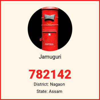 Jamuguri pin code, district Nagaon in Assam