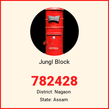 Jungl Block pin code, district Nagaon in Assam