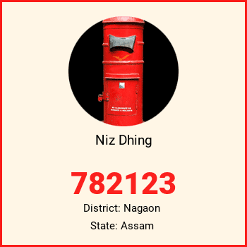 Niz Dhing pin code, district Nagaon in Assam