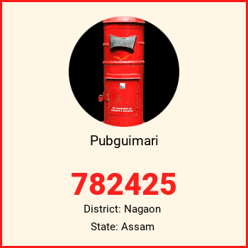 Pubguimari pin code, district Nagaon in Assam