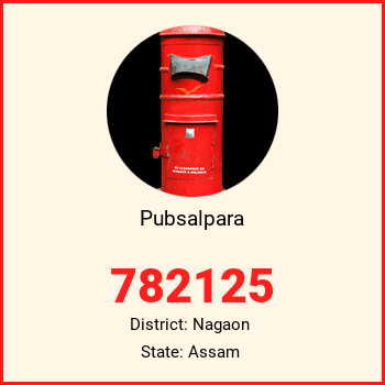 Pubsalpara pin code, district Nagaon in Assam