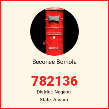 Seconee Borhola pin code, district Nagaon in Assam