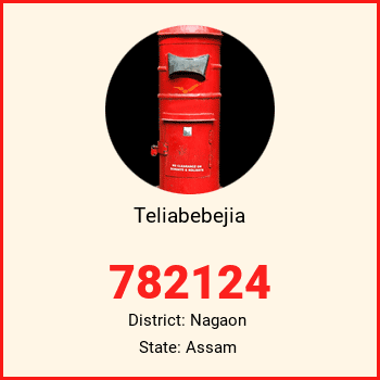Teliabebejia pin code, district Nagaon in Assam