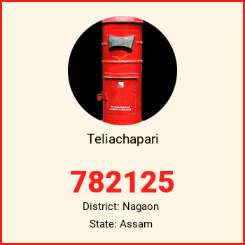 Teliachapari pin code, district Nagaon in Assam