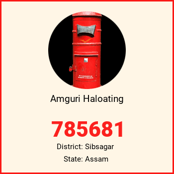 Amguri Haloating pin code, district Sibsagar in Assam