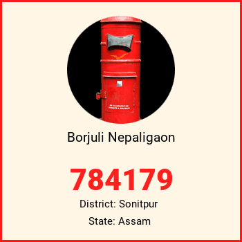 Borjuli Nepaligaon pin code, district Sonitpur in Assam