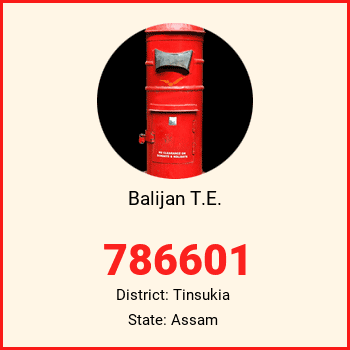 Balijan T.E. pin code, district Tinsukia in Assam