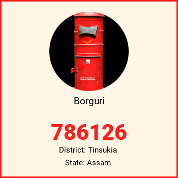 Borguri pin code, district Tinsukia in Assam